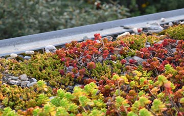 the cost of Coilleag green roof installation