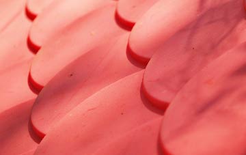 Coilleag plastic roof costs