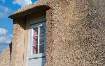 Coilleag thatch roof disadvantages