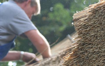 professional Coilleag thatchers